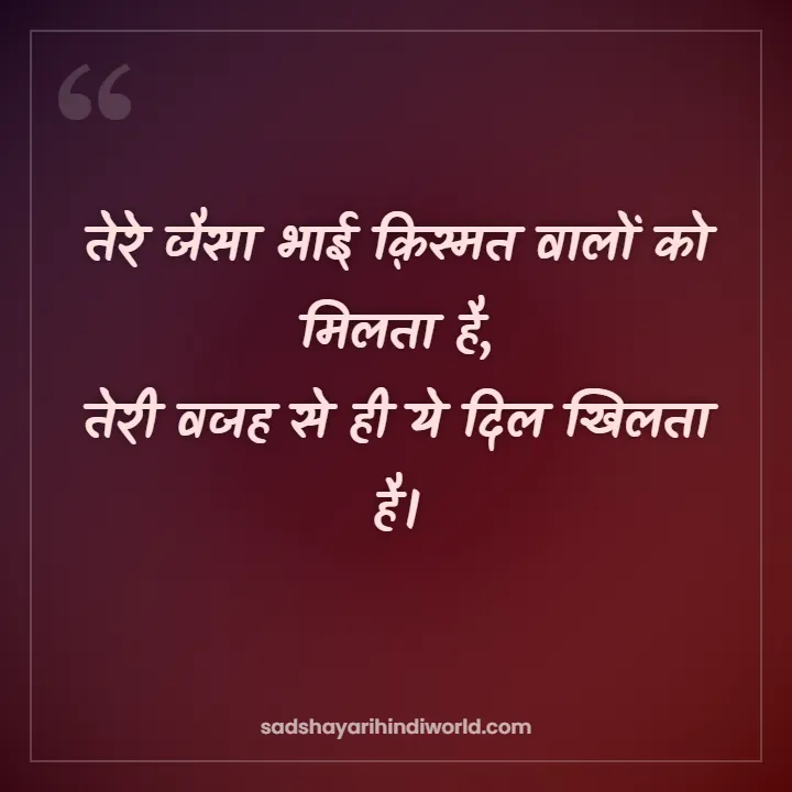 Bhai Shayari – तेरे जैसा भाई क़िस्मत वालों को मिलता है