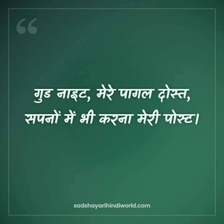 Good Night Shayari – गुड नाइट, मेरे पागल दोस्त