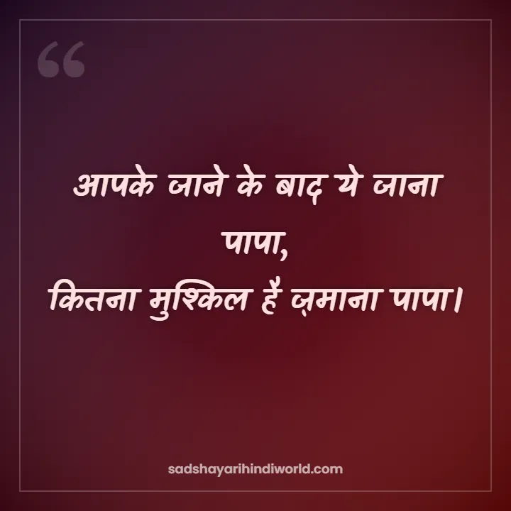 Papa Shayari – आपके जाने के बाद ये जाना पापा